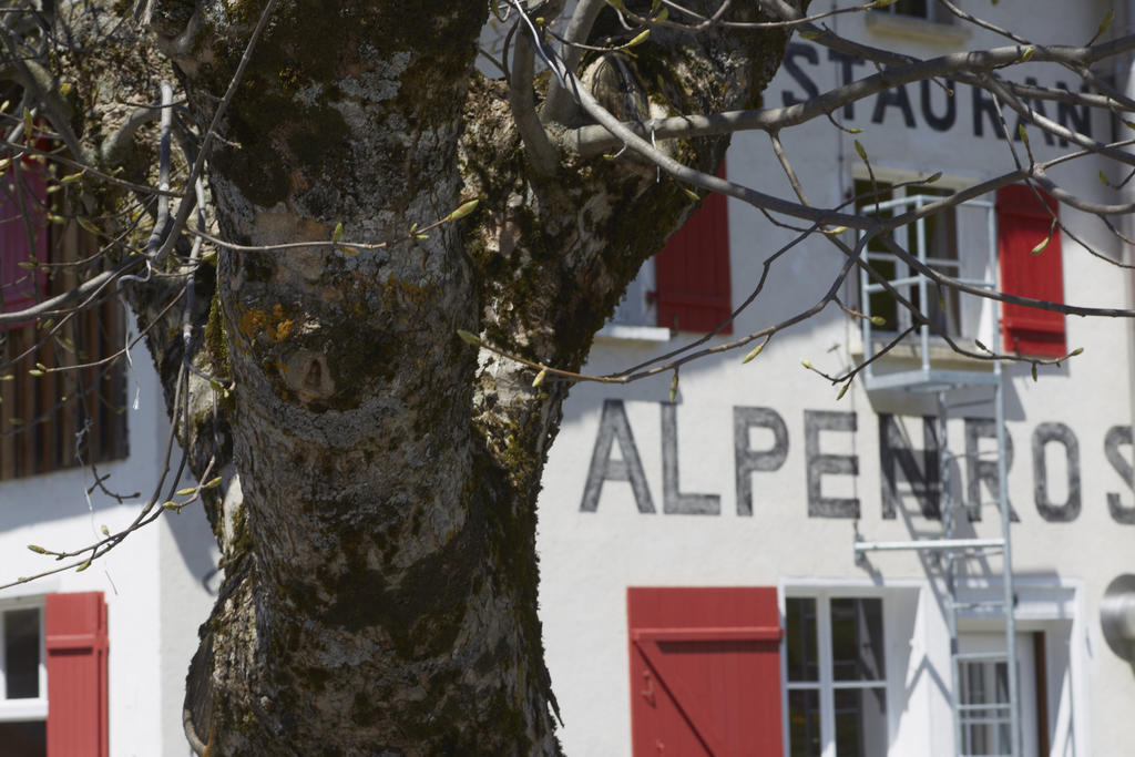 Alpenrose Gadmen - Gasthaus Extérieur photo